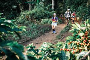 BIB: 
                            <button type="button" onclick="openModal(25838055)" class="btn btn-primary btn-sm float-right btn-popup" data-toggle="modal" data-target=".modal-high-quality">
                        <i class="fas fa-shopping-cart"></i> Add to Cart
                    </button>
                                            <button type="button" onclick="isThisMe(25838055, true)" class="btn btn-success btn-sm float-right btn-popup btn-isme hidden" data-toggle="tooltip" data-placement="bottom" title="นี่คือรูปของคุณใช่ไหม คลิกที่นี่เพื่อเอาเข้าอัลบั้ม">
                        <i class="fas fa-plus"></i> Add to album
                    </button>
                    <button type="button" onclick="isThisMe(25838055, false)" class="btn btn-warning btn-sm float-right btn-popup btn-isnotme hidden">
                        <i class="fas fa-ban"></i> Remove from album
                    </button>